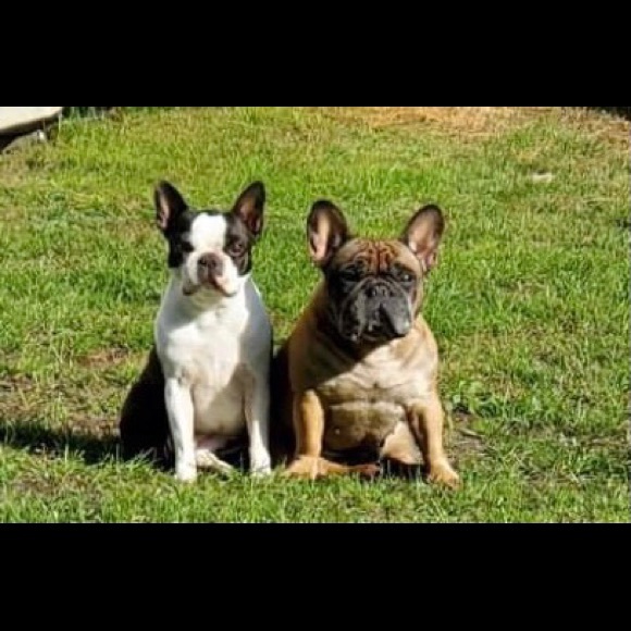 Meet your Posher, Maureen - Picture 6 of 8